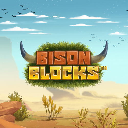 Bison Blocks