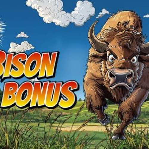 Bison Bonus