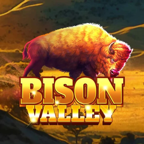 Bison Valley