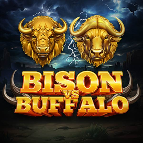 Bison vs Buffalo