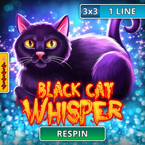 Black Cat Whisper