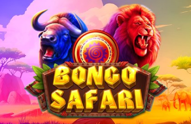 Bongo Safari