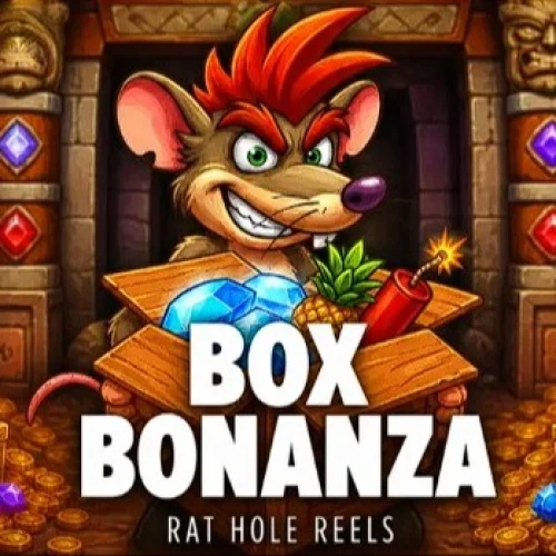 Box Bonanza
