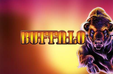Buffalo (Aristocrat)