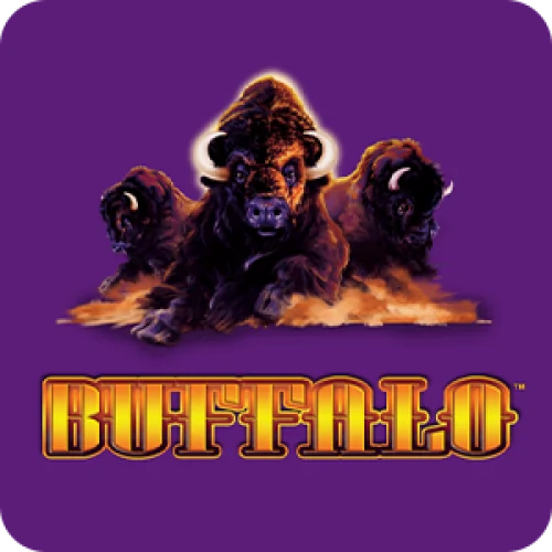 Buffalo (Aristocrat)