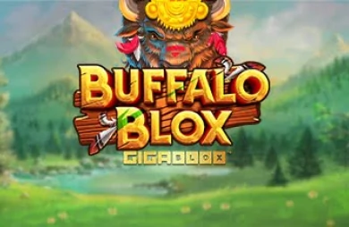 Buffalo Blox Gigablox