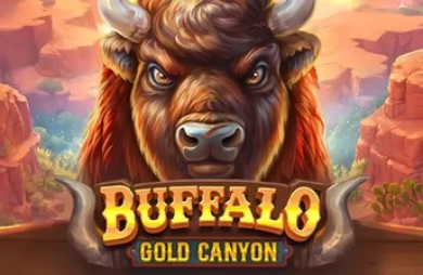 Buffalo Gold Canyon