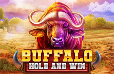 Buffalo Hold and Win