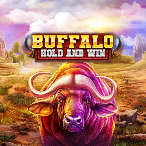 Buffalo Hold and Win
