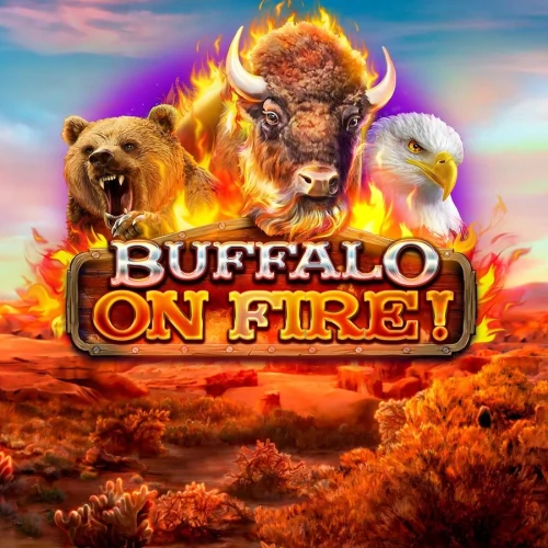 Buffalo on Fire!