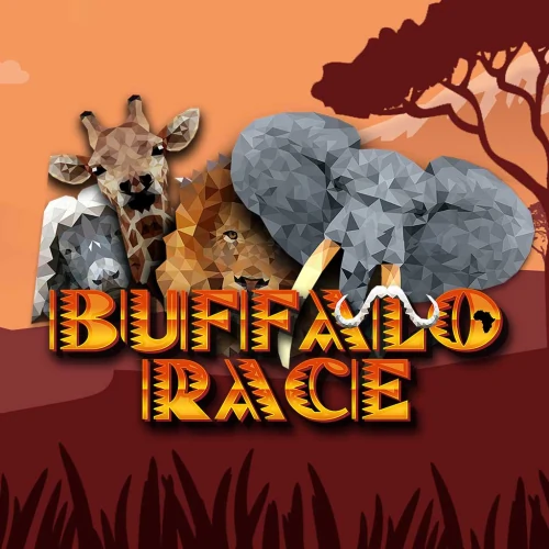 Buffalo Race