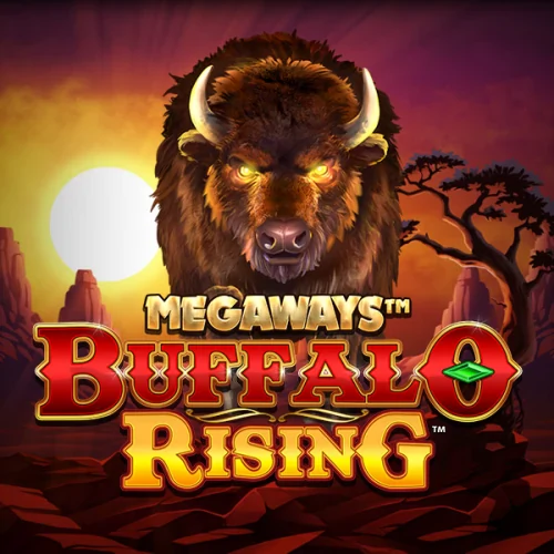 Buffalo Rising Megaways All Action