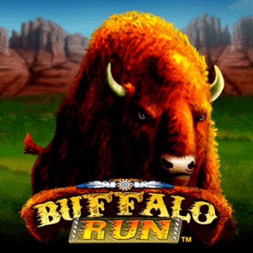 Buffalo Run