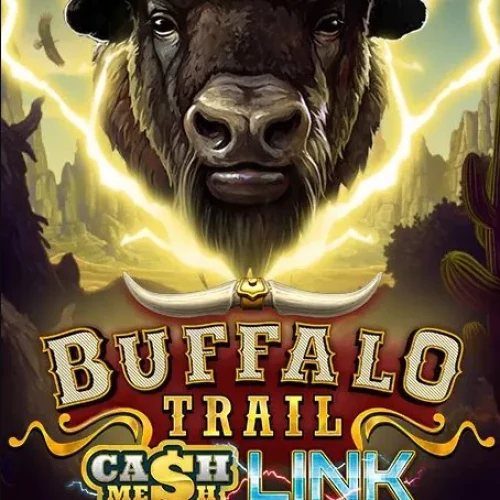 Buffalo Trail Cash Mesh Link