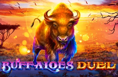 Buffaloes Duel