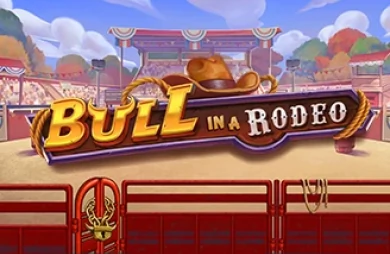 Bull in a Rodeo