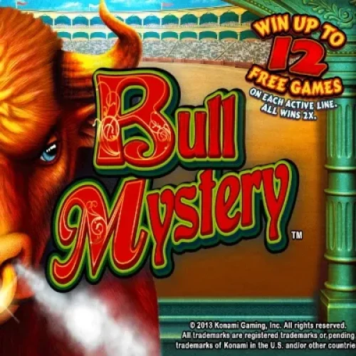 Bull Mystery