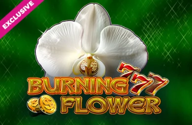 Burning Flower
