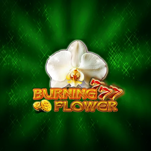 Burning Flower