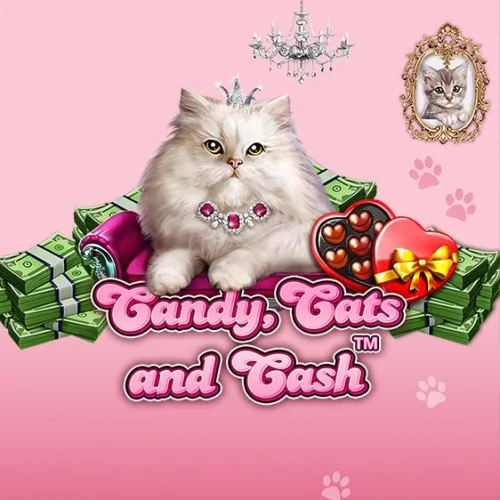 Candy Cats and Cash