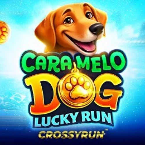 Caramelo Dog: Lucky Run