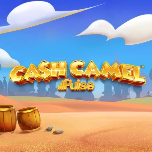 Cash Camel