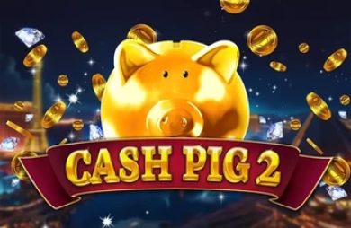 Cash Pig 2