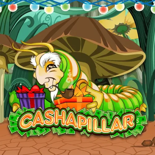Cashapillar