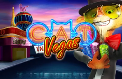 Cat in Vegas