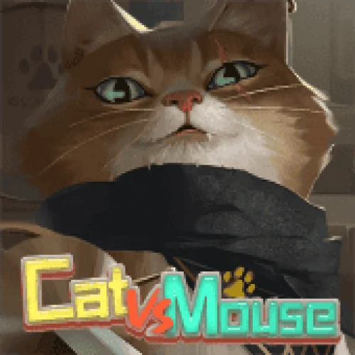 Cat VS Mouse