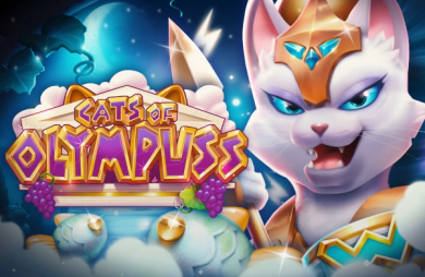 Cats of Olympuss
