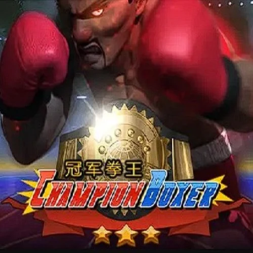 Champion Boxer