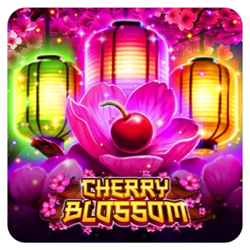 Cherry Blossom