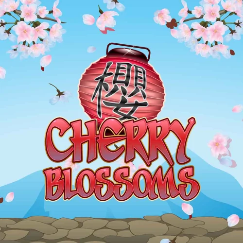 Cherry Blossoms