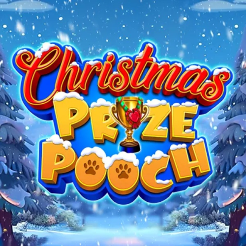 Christmas Prize Pooch