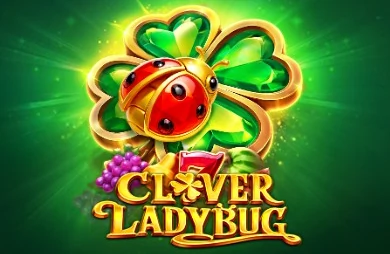 Clover Ladybug