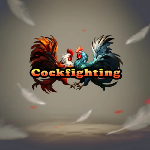 Cock Fight