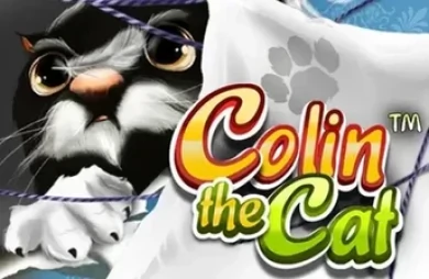 Colin the Cat