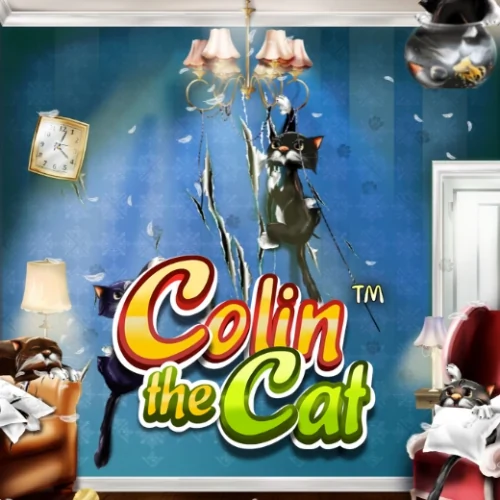 Colin the Cat