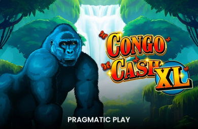 Congo Cash XL