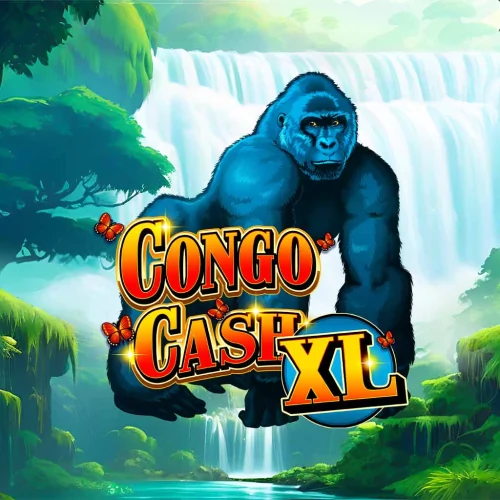 Congo Cash XL