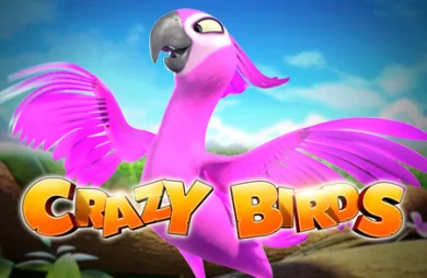 Crazy Birds