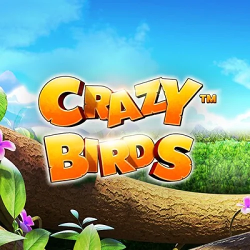 Crazy Birds