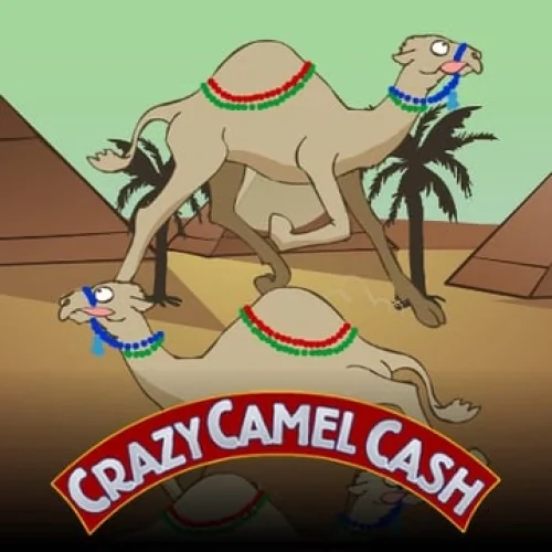 Crazy Camel Cash