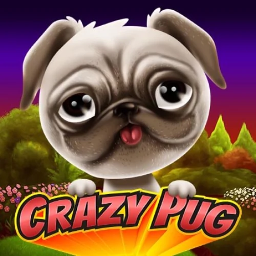 Crazy Pug