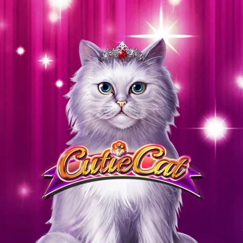 Cutie Cat