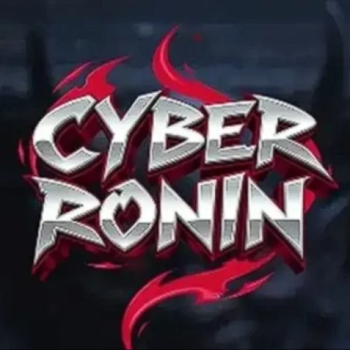 Cyber Ronin