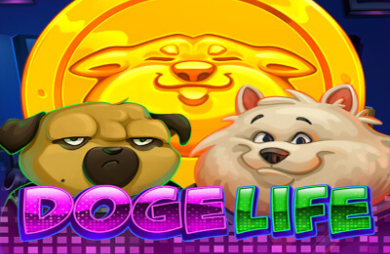 Doge Life