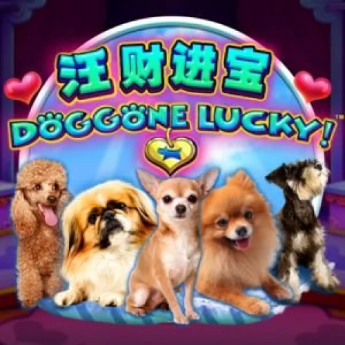 Doggone Lucky