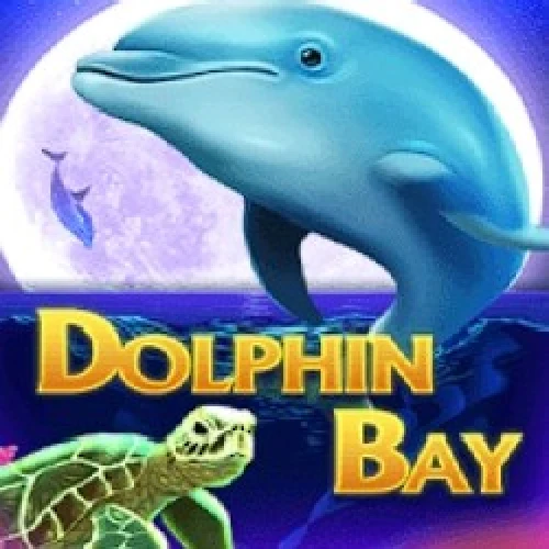 Dolphin Bay